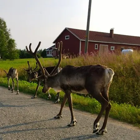 Village Lomahuoneisto Летний дом *