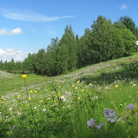 乡村民宿 Village Lomahuoneisto