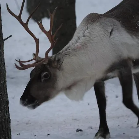 Village Lomahuoneisto *