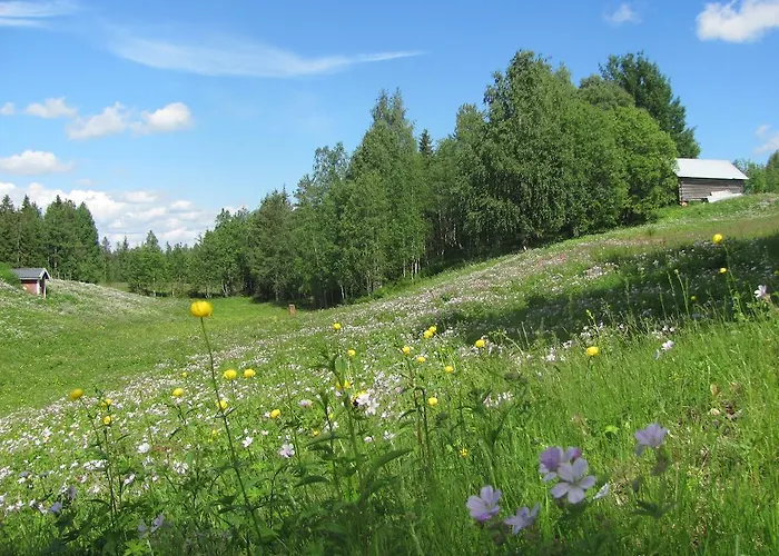 컨트리하우스 Village Lomahuoneisto