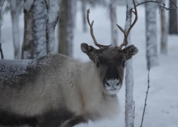 컨트리하우스 Village Lomahuoneisto Kierinki
